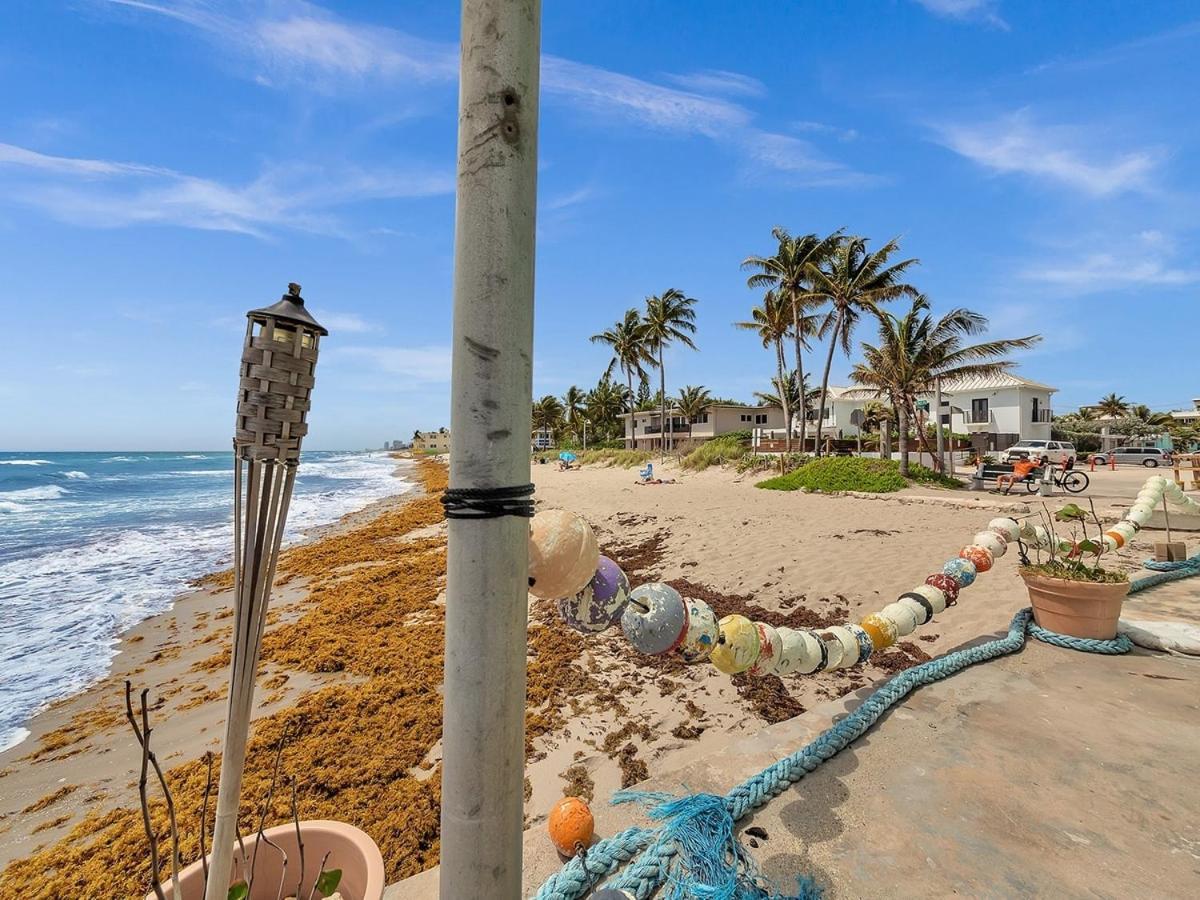 The Shell On Walnut Studio With Bath Hollywood Beach Free Parking Dania Beach Eksteriør bilde